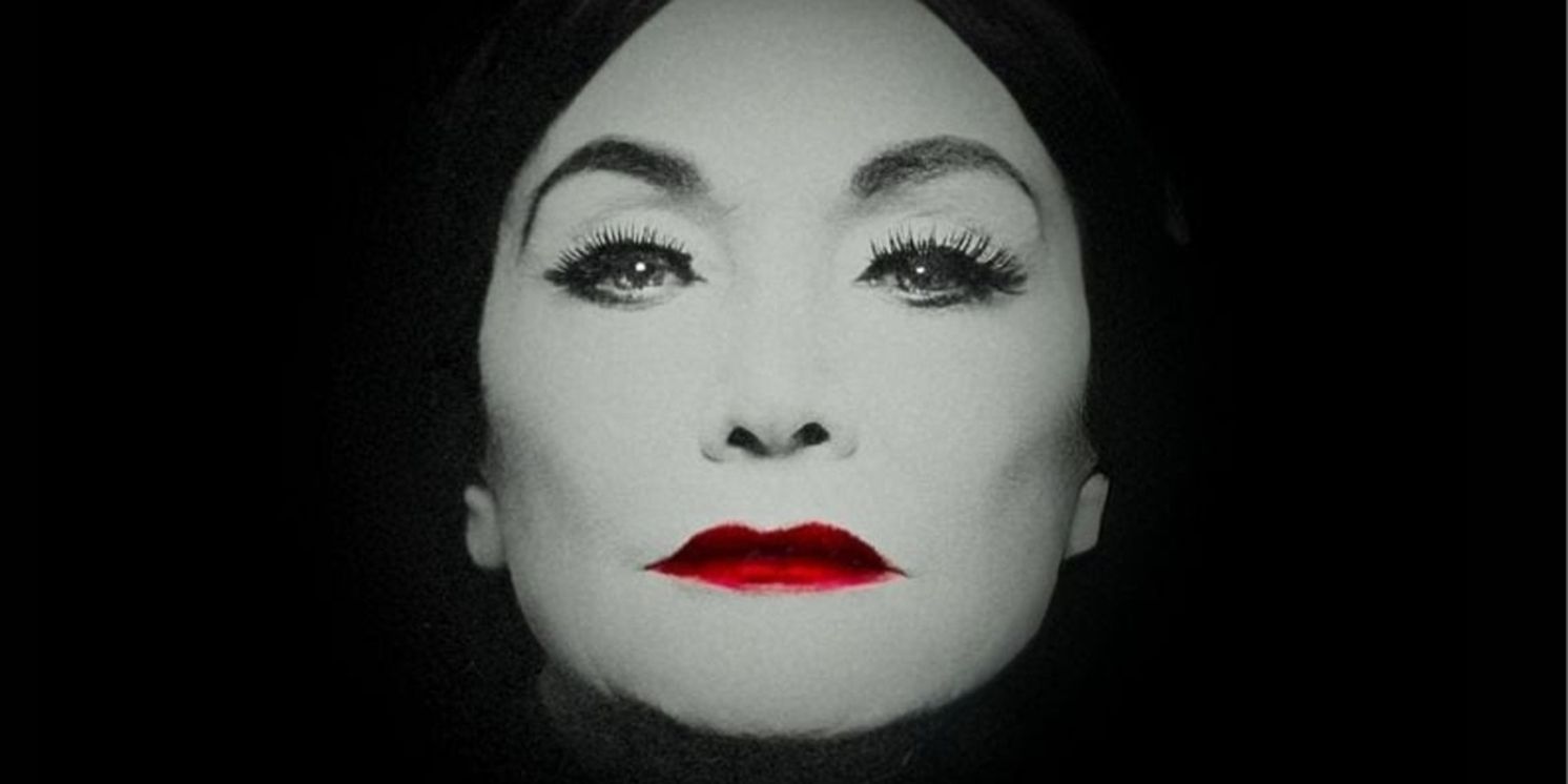 THE OPERA SINGER Comes to Theatre on the Square  Image