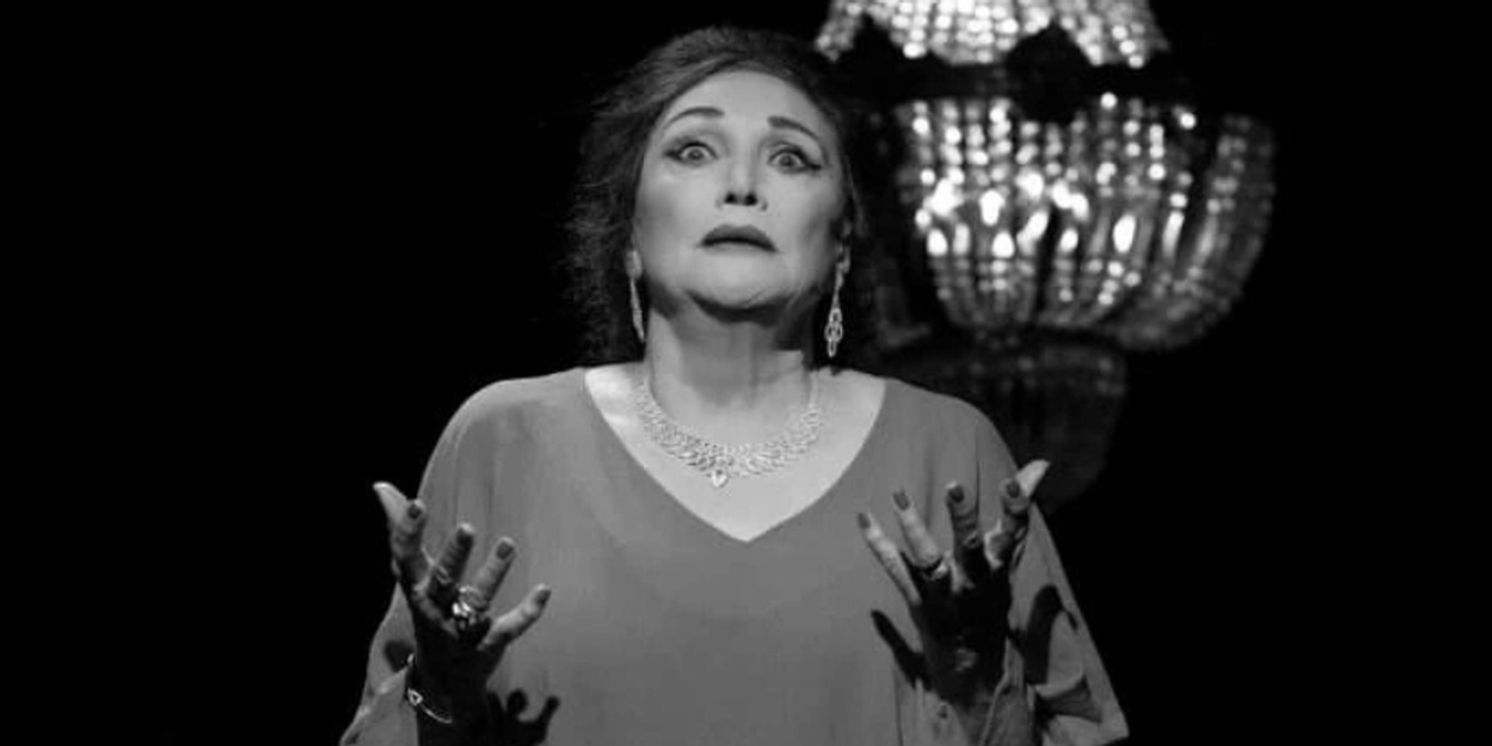 THE OPERA SINGER To Open At Theatre On The Square In March  Image