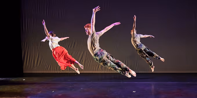 THE POLITICS OF MOVEMENT is Coming to Theater at the 14th Street Y Photos