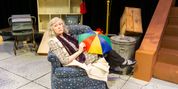 THE SEARCH FOR SIGNS OF INTELLIGENT LIFE IN THE UNIVERSE to Open at Lost Nation Theater Photo