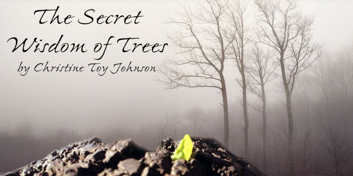 THE SECRET WISDOM OF TREES Available For Licensing From Thirty Saints Productions