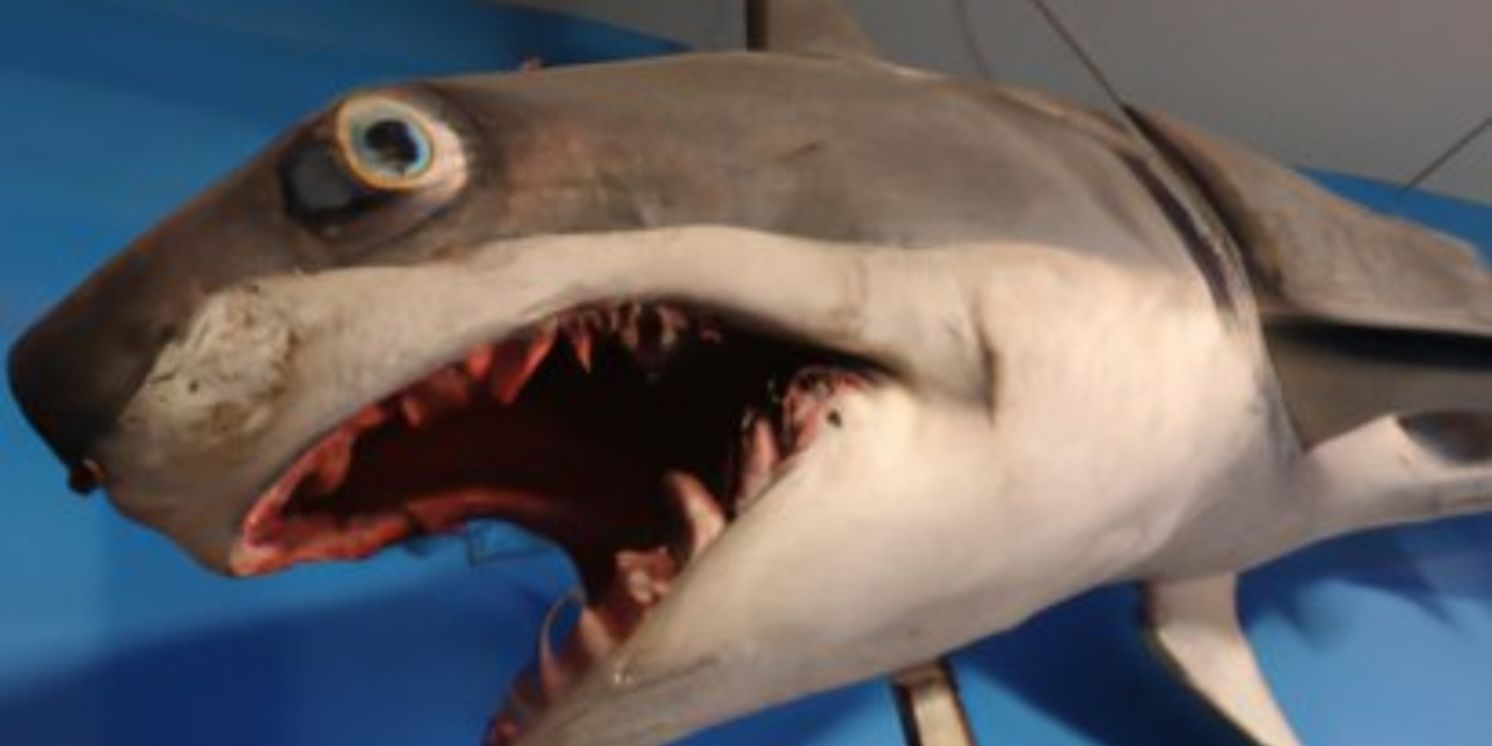 THE SHARK IS BROKEN Makes Utah Premiere at Wasatch Theatre Company in August  Image