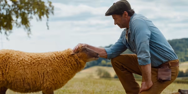 THE SHEEP DETECTIVES Sets Streaming Release on Prime Video Photo