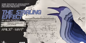 THE STARLING EFFECT to Receive World Premiere from Verb Theatre
