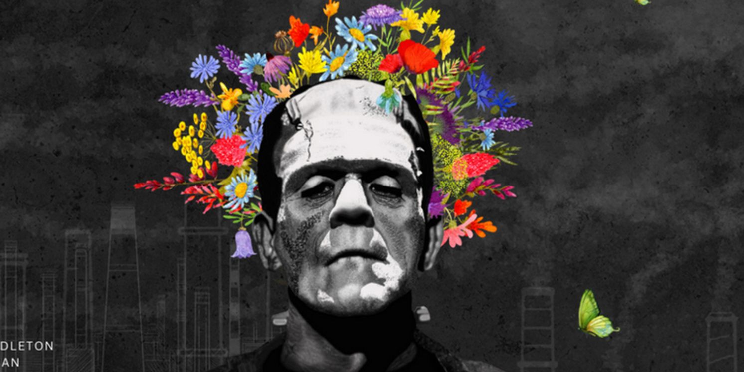 THE YEAR WE DISAPPEARED Comes to 905 Cole Theater  Image