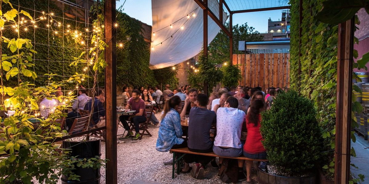 THREES BREWING Upcoming Summer Events