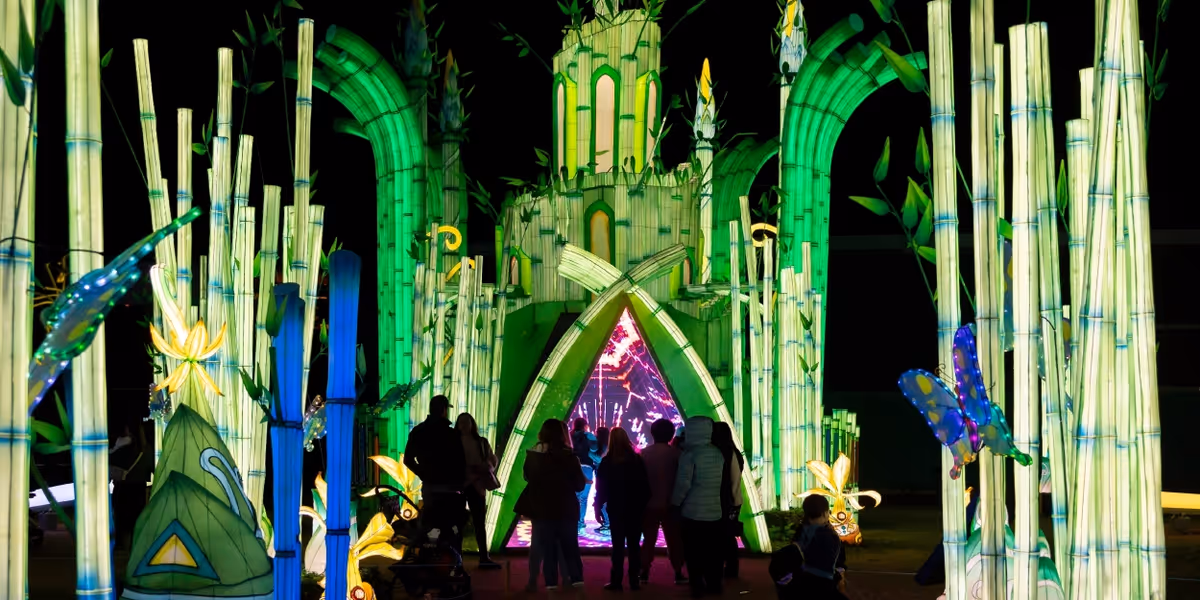 TIANYU LIGHTS FESTIVAL Makes NYC Debut-Tickets on Sale Now