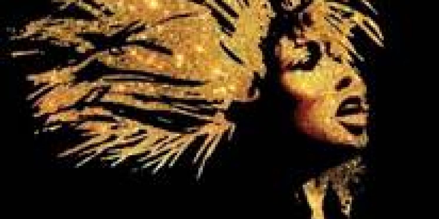 TINA - THE TINA TURNER MUSICAL Comes To Keller Next Month  Image