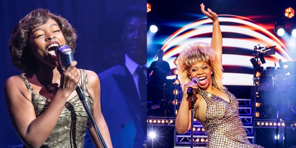 TINA – THE TINA TURNER MUSICAL On Sale At FSCJ Artist Series November 17  Image