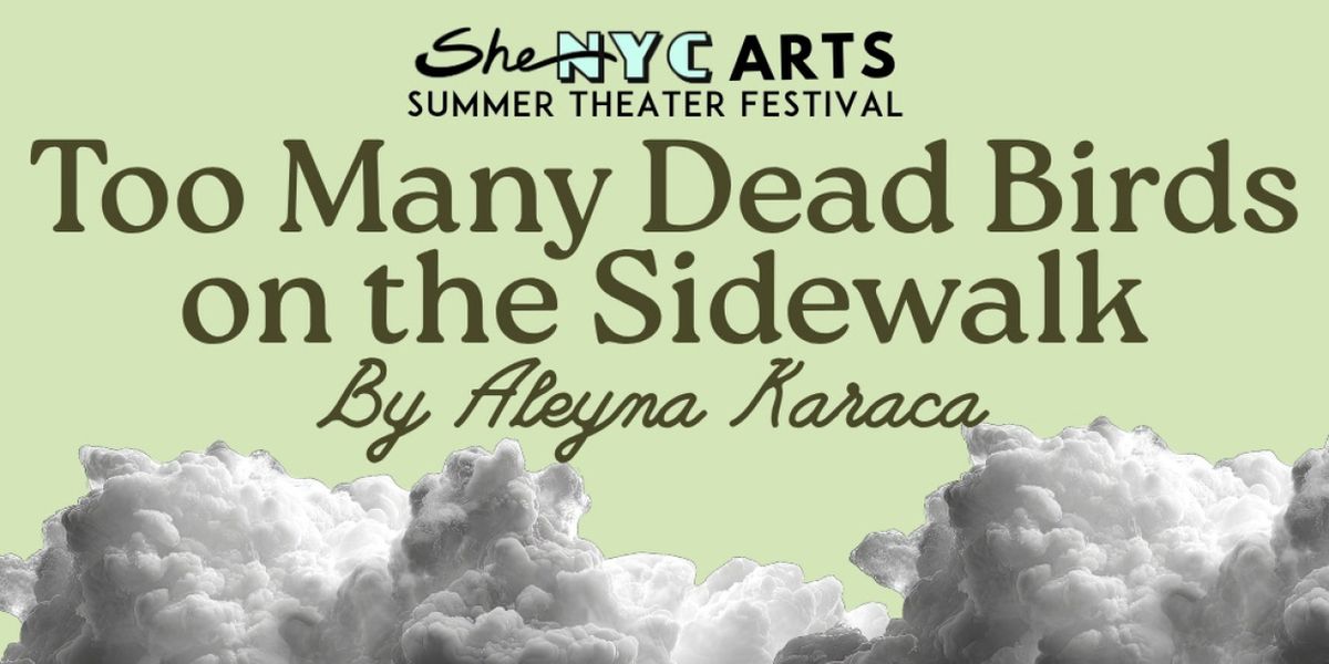 TOO MANY DEAD BIRDS ON THE SIDEWALK to Make Off-Broadway Debut at SheNYC Festival