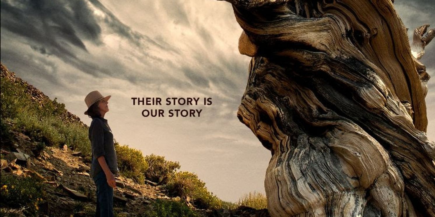 TREES AND OTHER ENTANGLEMENTS Documentary Coming to Max  Image