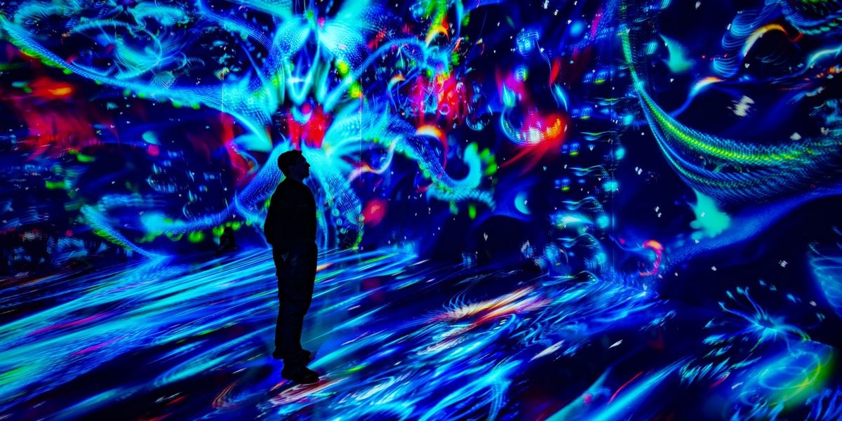 TWILIGHT ZONE: HIDDEN WONDERS OF THE OCEAN to Open at ARTECHOUSE NYC