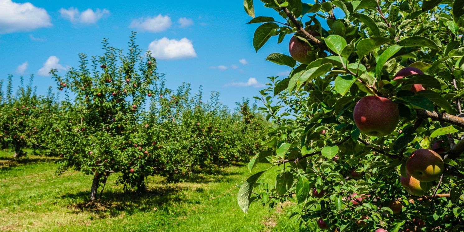 TWIN STAR ORCHARDS and CLOCK TOWER GRILL-A Hudson Valley Getaway  Image