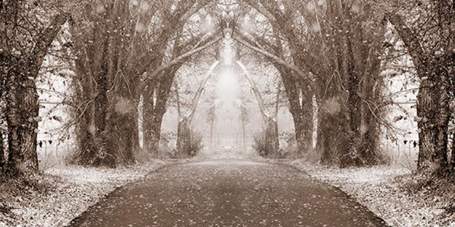 Teatro Paraguas to Present IN THE SWIRL, A Group Poetry Reading  Image