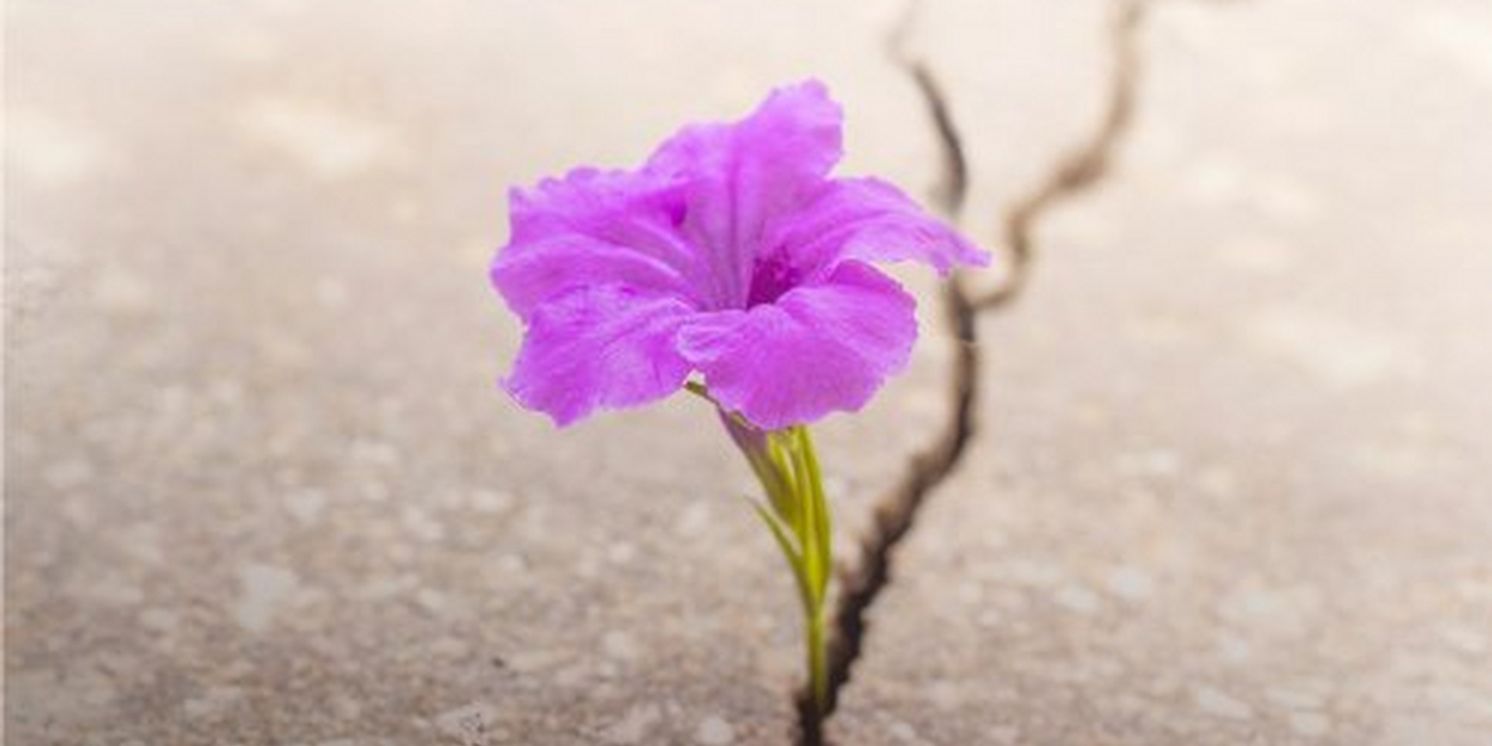 Tenor Eric Ferring Releases 'We Have Tomorrow' With Quatuor Agate On Delos  Image