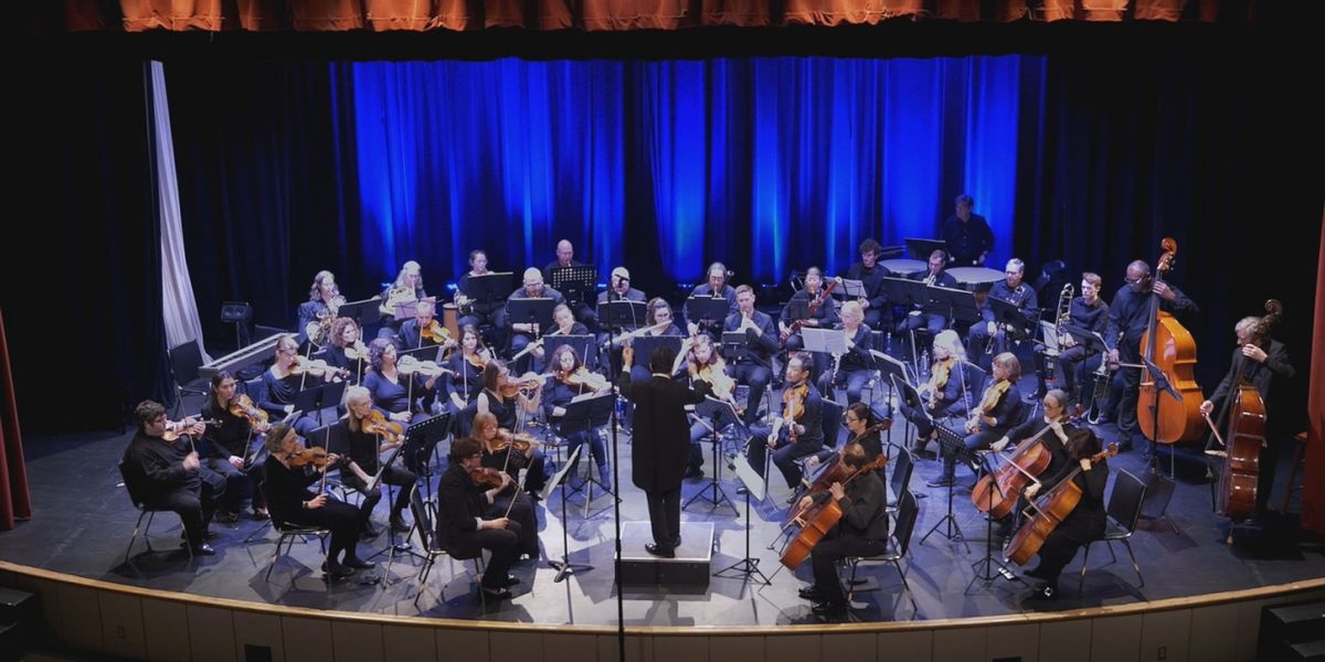 The Adelphi Orchestra Reveals 71st Anniversary Concert Season