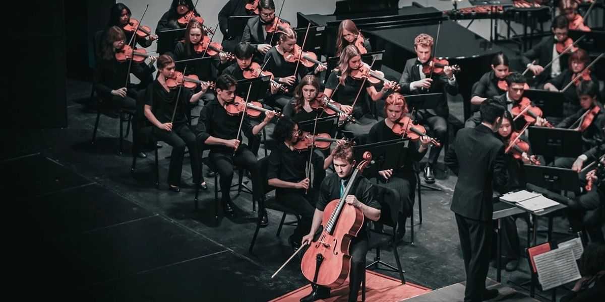 The Anchorage Youth Symphony Orchestra Will Perform AYO Winter Celebration Concert