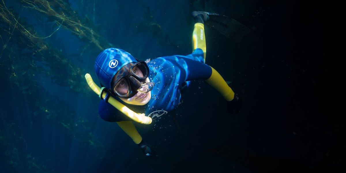 Catalina Museum For Art & History to Present THE BLUE FOREST By Oriana Poindexter
