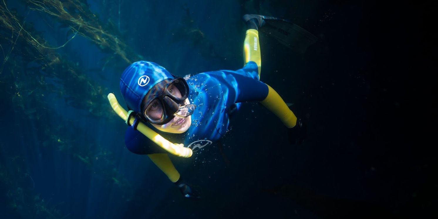 Catalina Museum For Art & History to Present THE BLUE FOREST By Oriana Poindexter  Image