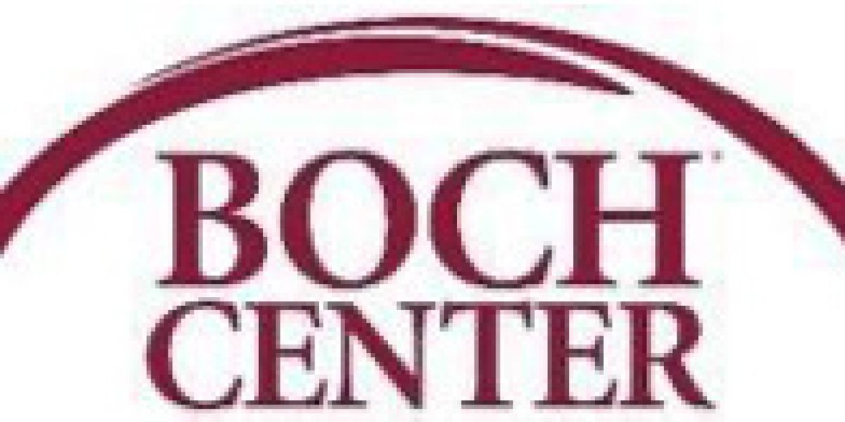 The Boch Center Partners With Boston Family Days
