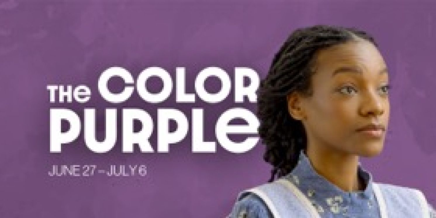 THE COLOR PURPLE Launches The Carnegie's 2025-26 Season  Image