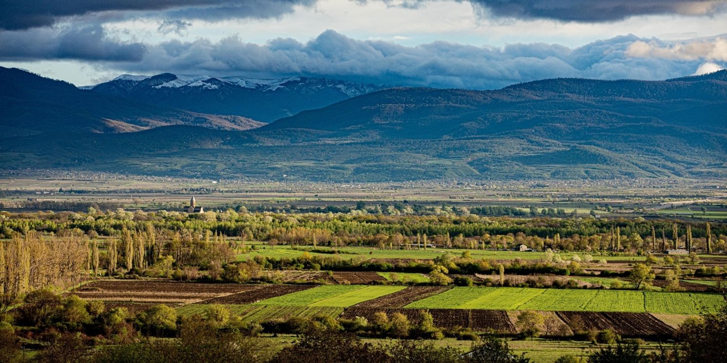 The Country of Georgia-It's Presence in NYC for Wine and Food  Image