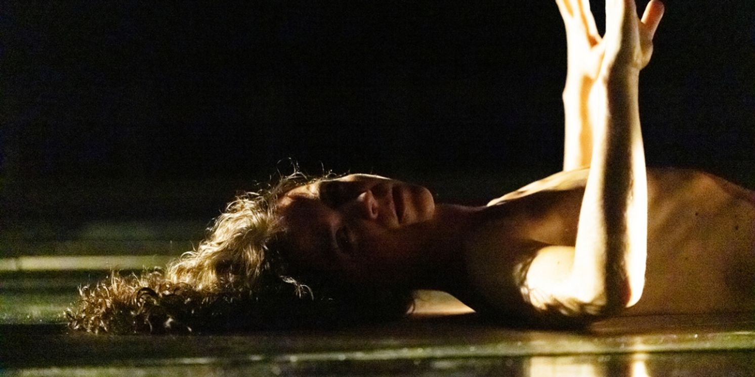 The Dance Centre Presents A New Work By Choreographer Daina Ashbee  Image