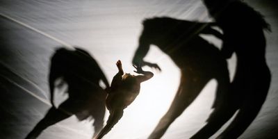 The Dance Centre to Present World Premiere of Corporeal Imago's DRIFT in Vancouver Photo