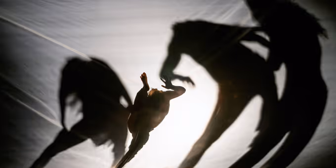 The Dance Centre to Present World Premiere of Corporeal Imago's DRIFT in Vancouv Photos