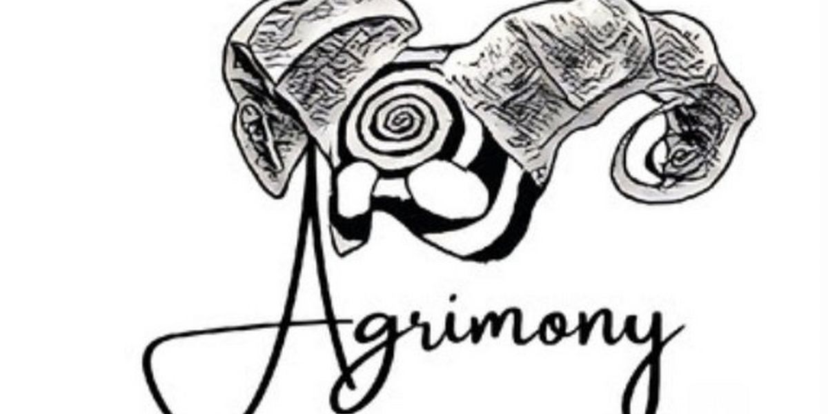 The Dance Centre to Present West Coast Premiere of Sophie Dow's AGRIMONY