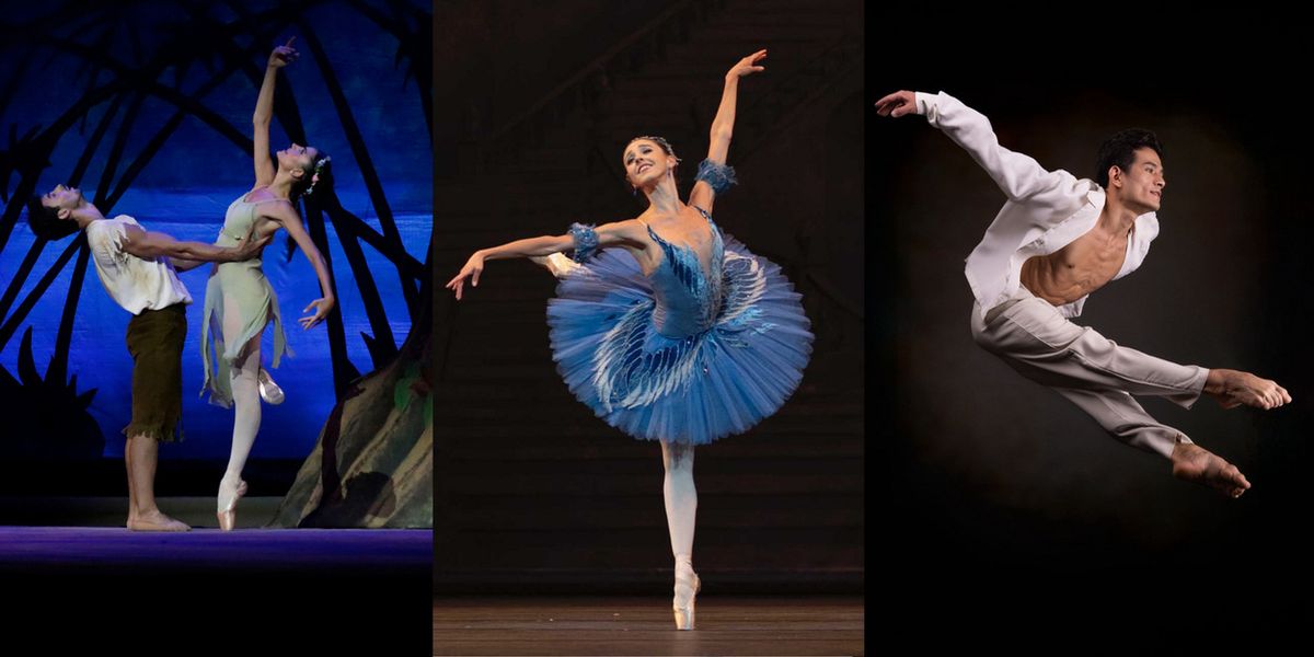 The Fonteyn 2025 Guest Performances Revealed
