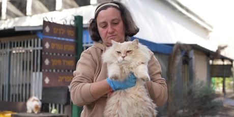 The Guardian Angel of the Cats Who Lost Everything on October 7 Photo