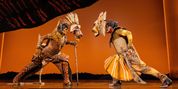 Review: THE LION KING at Providence Performing Arts Center Photo