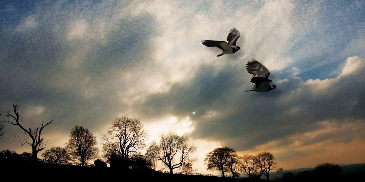 The Little Opera Theatre Of NY Will Present WUTHERING HEIGHTS
