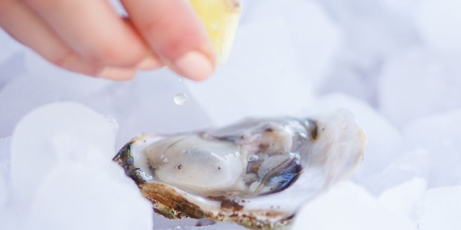 The Mark Clam Bar to Open at The Mark Hotel on the Upper East Side  Image