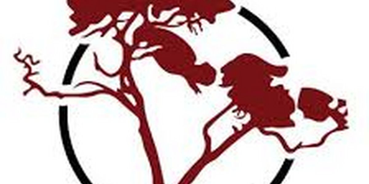 A CHORUS LINE to be Presented at The Norwalk Conservatory Of The Arts