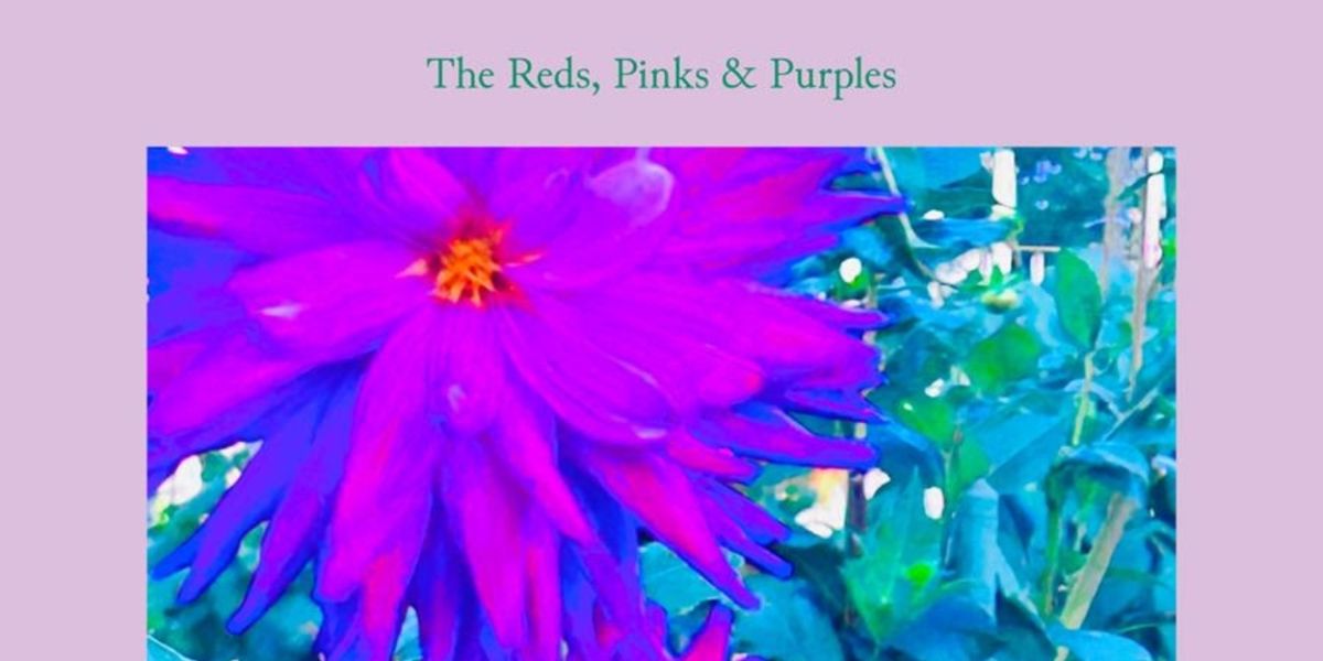 The Reds, Pinks & Purples Shares New Single 'Learning To Love A Band'