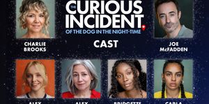 The Role of 'Chris' Will Be Played By Female Leads in THE CURIOUS INCIDENT OF THE DOG IN THE NIGHT-TIME UK Tour