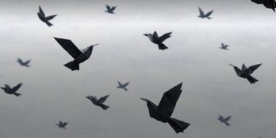 The Thessaloniki State Symphony Orchestra Will Perform a Concert For Peace Photo