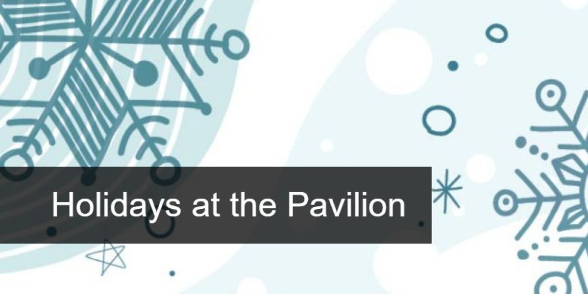 The Washington Pavilion Announces Festive Holiday Programming