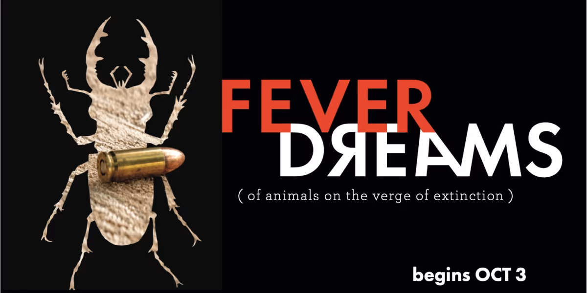 TheaterWorks Hartford Unveils 2024-2025 Season Featuring FEVER DREAMS & More