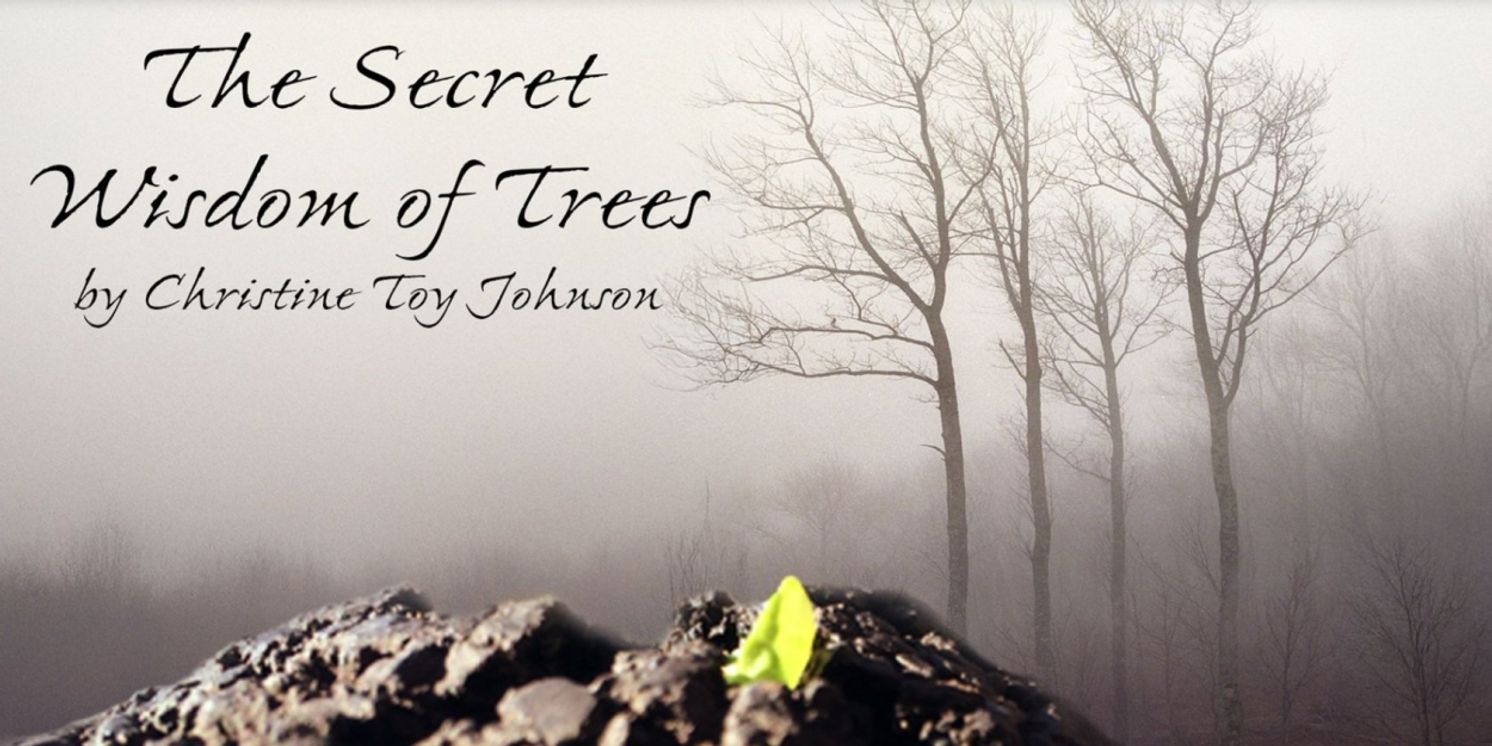 Thirty Saints Productions Announces Licensing Availability For Christine Toy Johnson's THE SECRET WISDOM OF TREES  Image