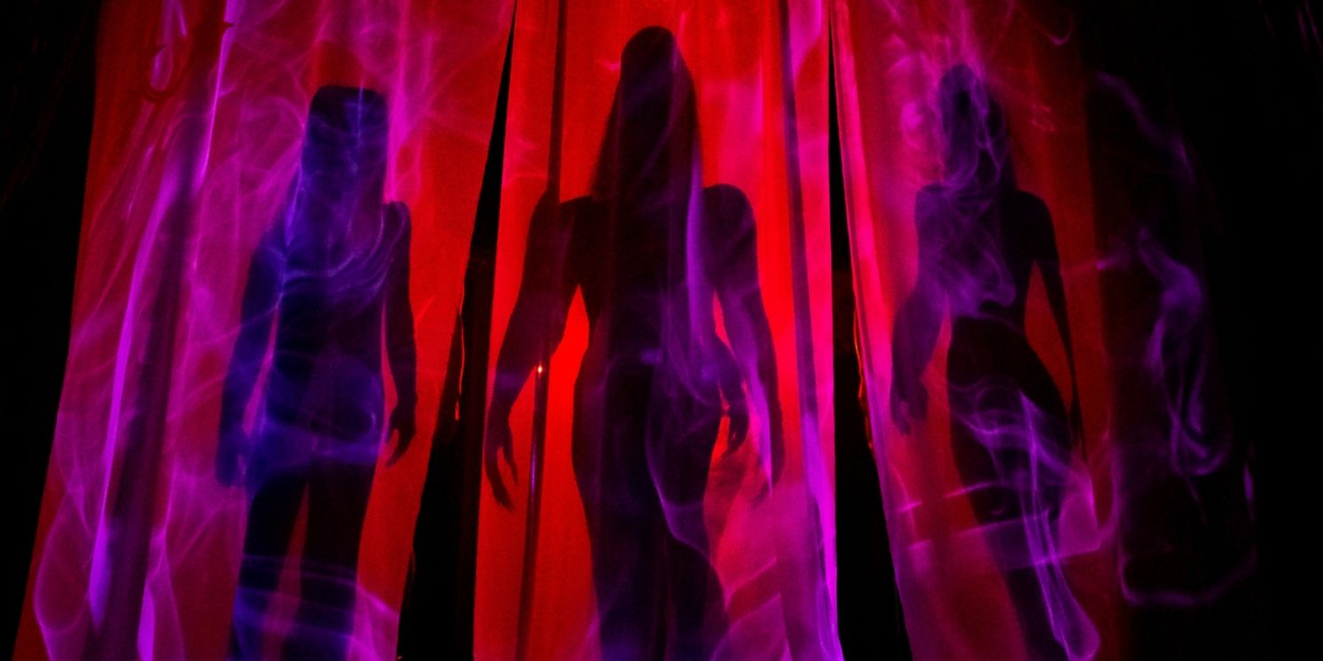 Can Can's NOIR Now On Sale With 'Early Bird Special' Discount  Image