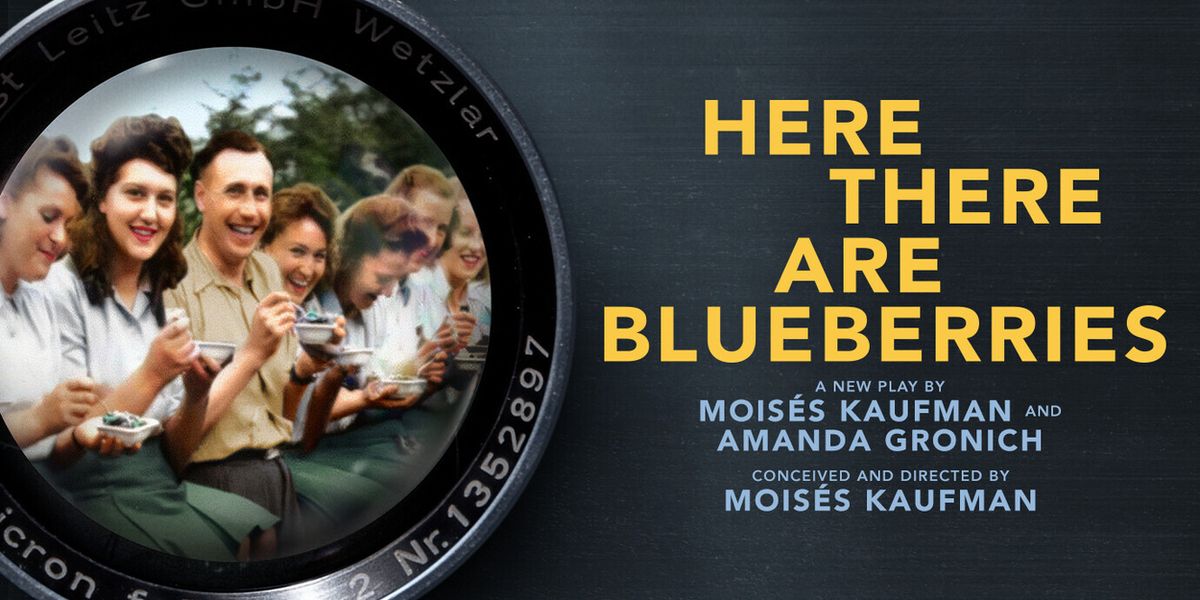 Tickets On Sale For HERE THERE ARE BLUEBERRIES on Broadway