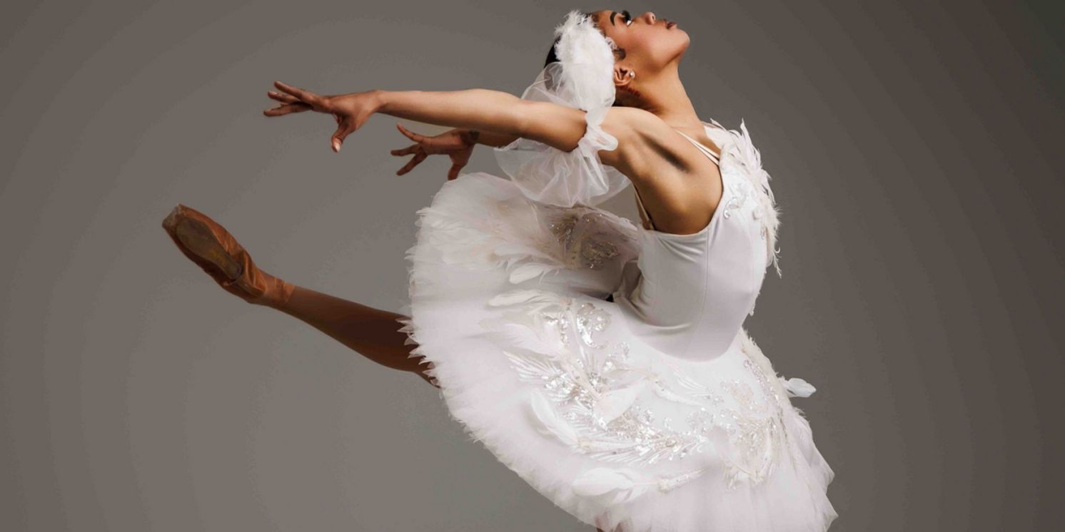 Tickets On Sale For All Black And Brown Swan Lake: BLACK SWAN at Mandel Theater  Image