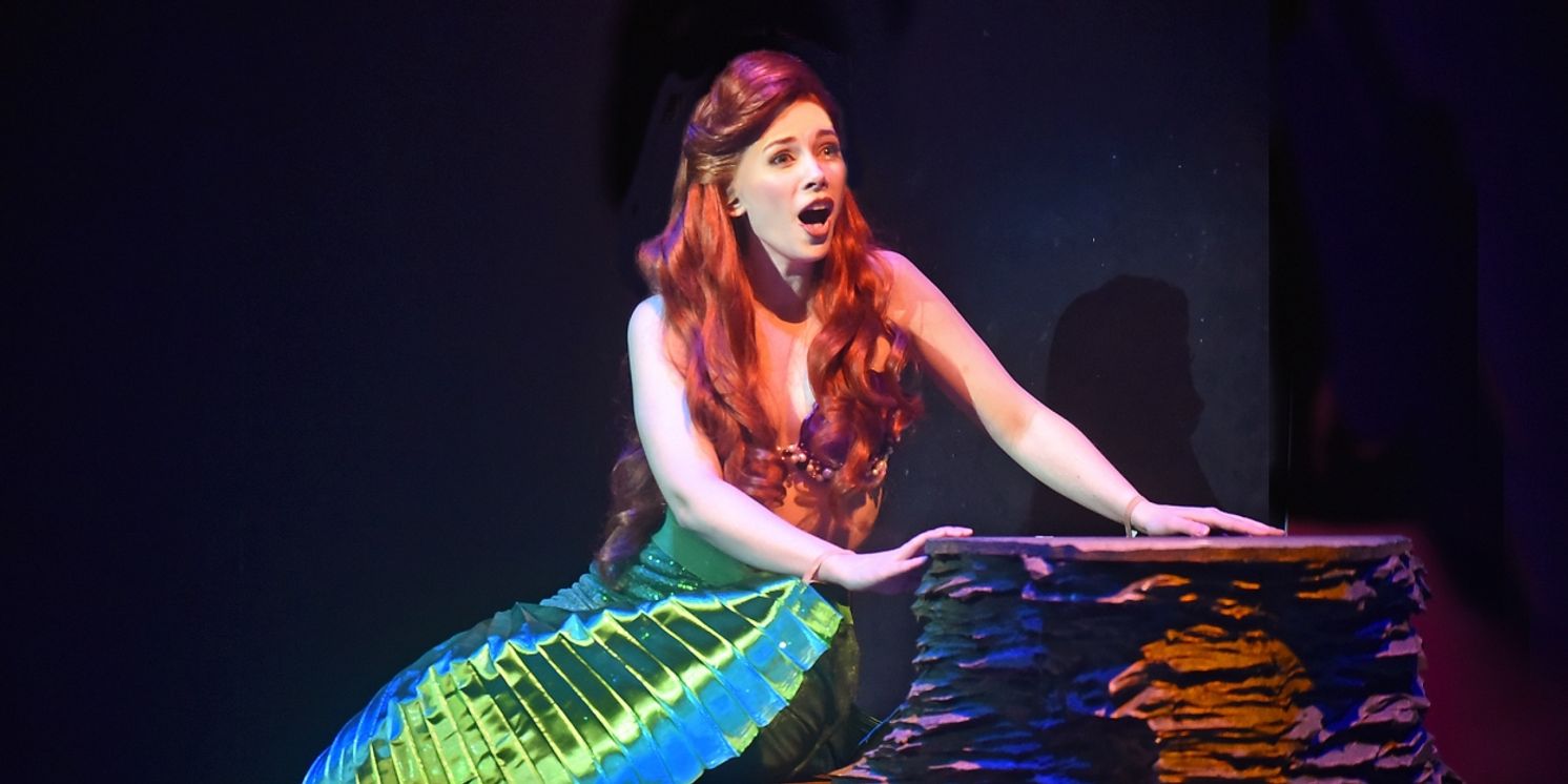 Tickets to All 2025 Season Shows at Beef & Boards Now On Sale  Image