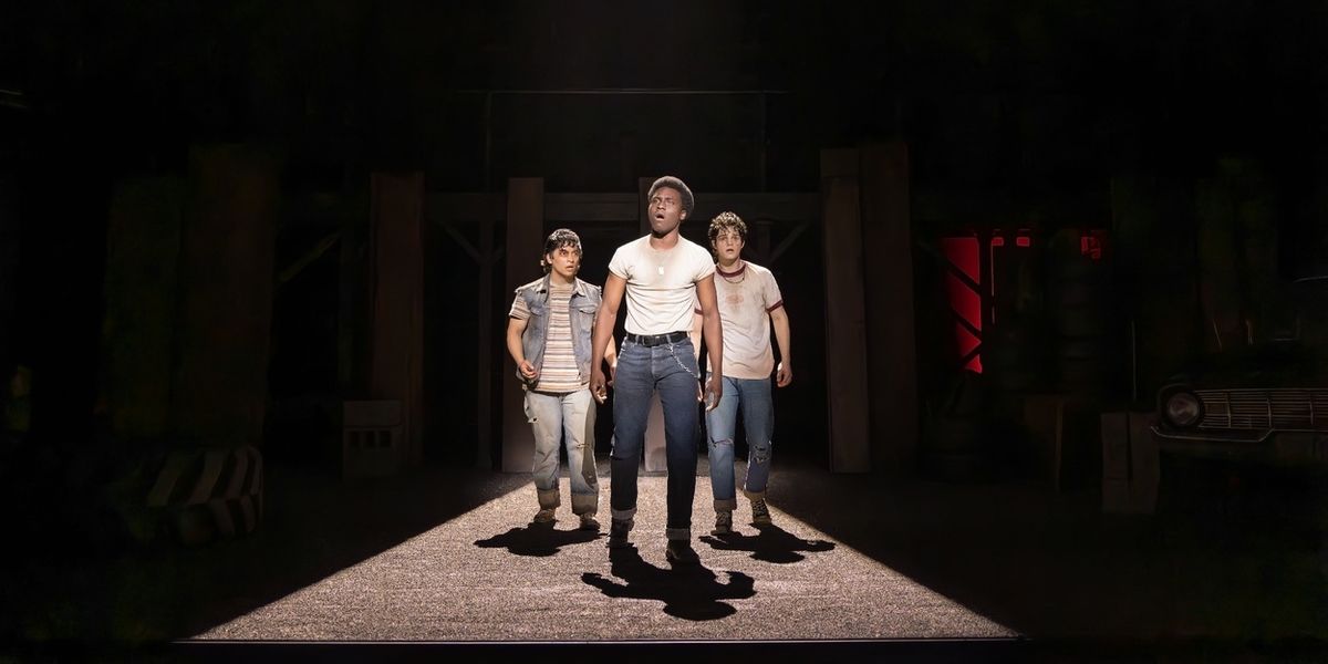 Tickets to THE OUTSIDERS in Chicago on Sale This Week