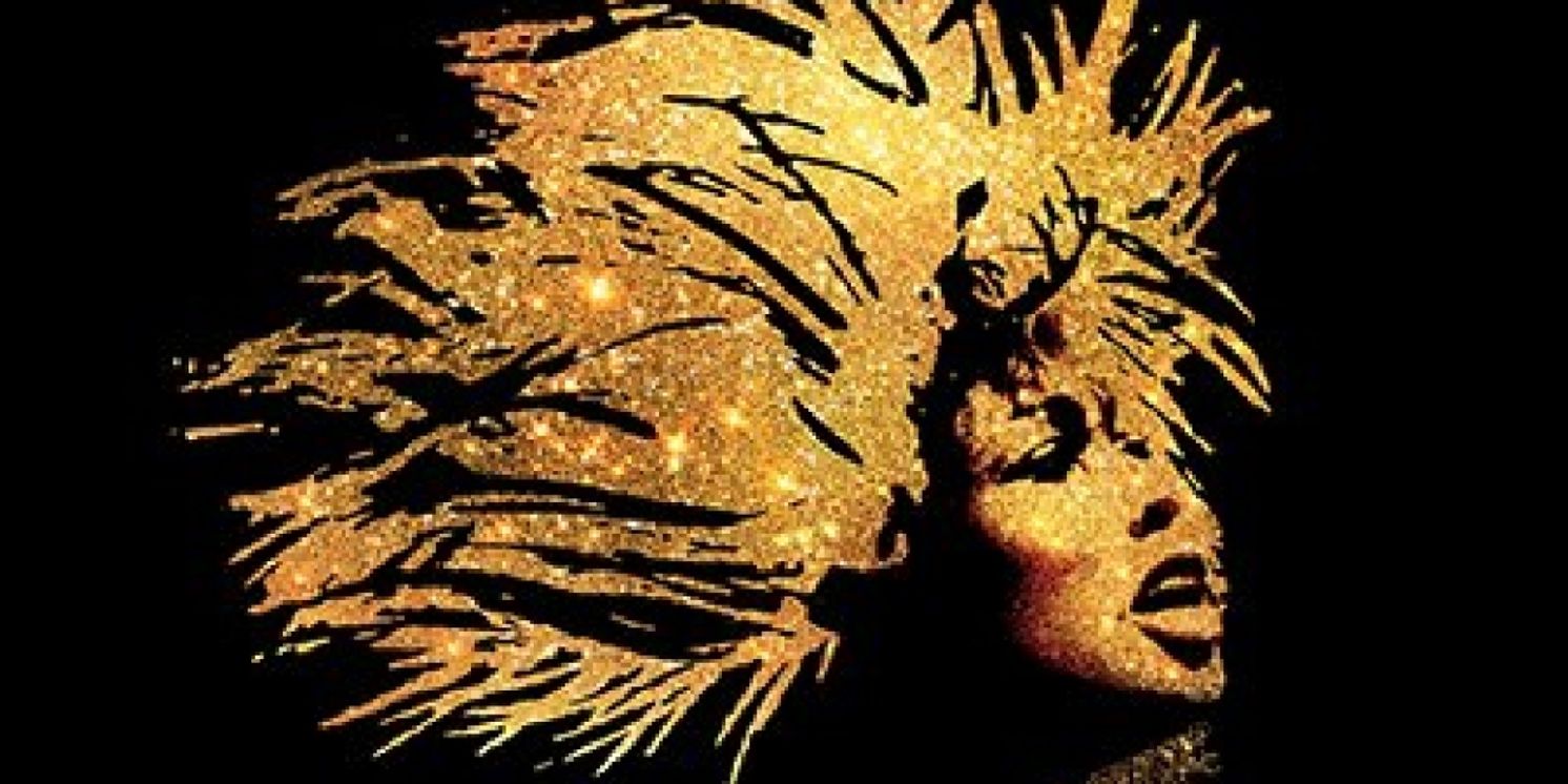 Tickets to TINA – THE TINA TURNER MUSICAL at Popejoy Hall on Sale Now  Image