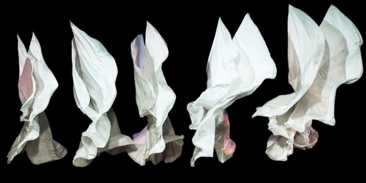 Time Lapse Dance to Present SHAPES OF CHANGE, Honoring Gail Merrifield Papp