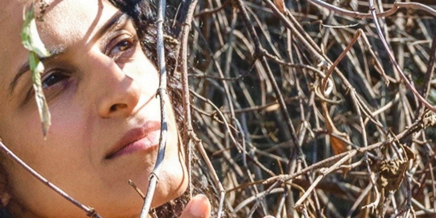 Town Hall Theater Will Present ODE: An Immersive Sonic Experience in April  Image